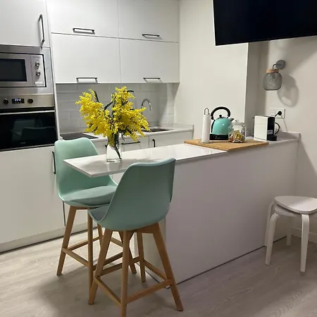 Gascona 26 - Pleno Centro, Muy Tranquilo, Parking Gratis En Mismo Edificio, Ascensor, Wifi Daire